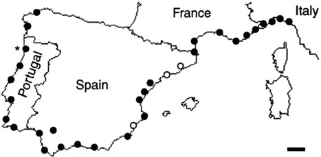 Des fourmis ont b&acirc;ti une supercolonie reliant l'Espagne &agrave; l'Italie en passant par le Portugal et la France | EntomoScience | Scoop.it
