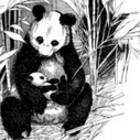 Google Panda Gets Pickier and More Sensitive | Google Penalty World | Scoop.it