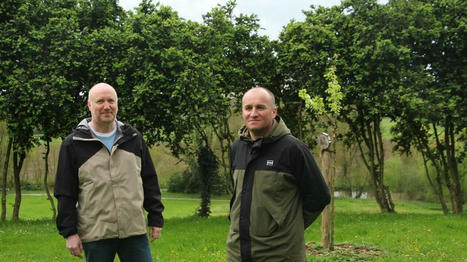 Sabl&eacute; sur Sarthe. Un verger partag&eacute; dans chaque quartier&nbsp;: &laquo;&nbsp;Les habitants viennent cueillir librement des fruits&nbsp;&raquo; | L'actualit&eacute; des quartiers politique de la ville de Bretagne et Pays de la Loire | Scoop.it