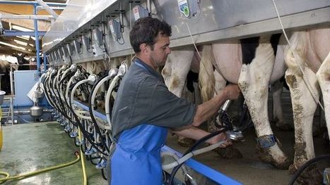 [Tribune] Jean-Baptiste Millard « Interdire la cession onéreuse des contrats laitiers, un refus des réalités » | Lait de Normandie... et d'ailleurs | Scoop.it