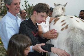 El caballo, ayuda terap&eacute;utica para tratar la discapacidad | Caballo, Caballos | Scoop.it