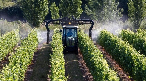 Le #vin : encore trop de #pesticides | Avec un modeste 3,7% de la #surface #agricole utile, le #vignoble français consomme tout de même environ 20% des pesticides utilisés en #France. | RSE et Développement Durable | Scoop.it