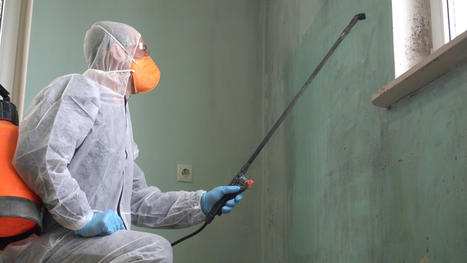 How to Grow Your Mold Inspection Business with Digital Marketing | Contractors and Trades | Scoop.it