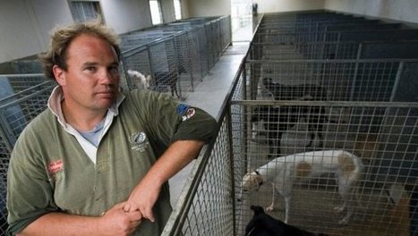SPCA waiting on forensic evidence in investigation of live-bait use | Greyhound Racing | Scoop.it