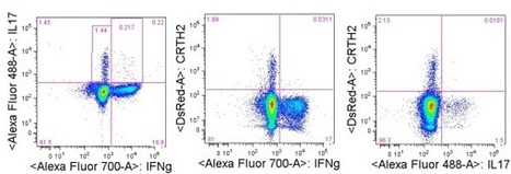 Identification of CD4+ TH1, TH2, and TH17 populations in human PBMC by Flow Cytometry | Immunology Diagnosis | Scoop.it