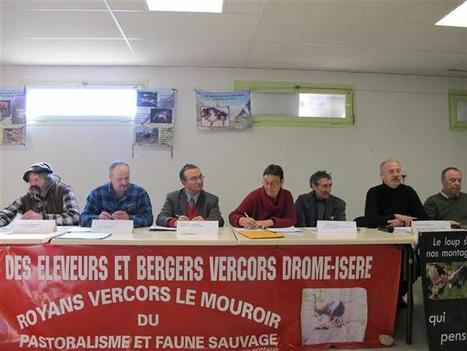 Romans-Sur-Isère | Le loup gagne du terrain dans le Vercors | Pastoralisme Ours Loups Lynx | Scoop.it