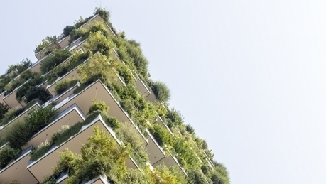 La biodiversité au cœur des enjeux de l’agriculture urbaine | ESPACES VEGETALISES URBAINS | Scoop.it