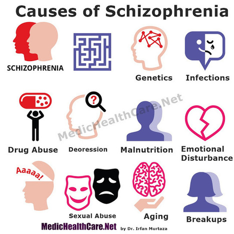 Paranoid Schizophrenia Cuases Signs Symptoms