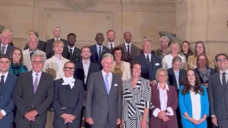 Qui sont ces "h&eacute;ro&iuml;nes et h&eacute;ros du quotidien" re&ccedil;us par le roi Philippe ce jeudi au Palais Royal ? | Infirmiers de rue - Straatverplegers | Scoop.it