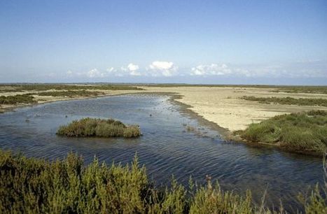 Les 90 bougies de la réserve naturelle de Camargue. | Camargue Nature | Scoop.it
