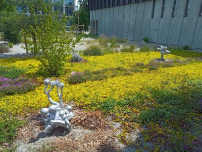 Le Jardin Polygonal de Hicham Berrada, première œuvre d’art du 1% artistique | Life Sciences Université Paris-Saclay | Scoop.it