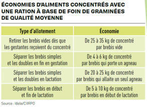 Alloter ses brebis pour économiser du concentré | Actualité Bétail | Scoop.it