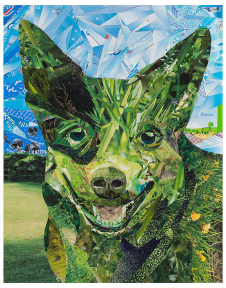 Evergreen: Magazines Collage | 1001 Recycling Ideas ! | Scoop.it