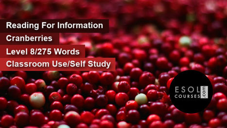 Advanced English Reading - Cranberries | Reading Resources for ELT | Scoop.it