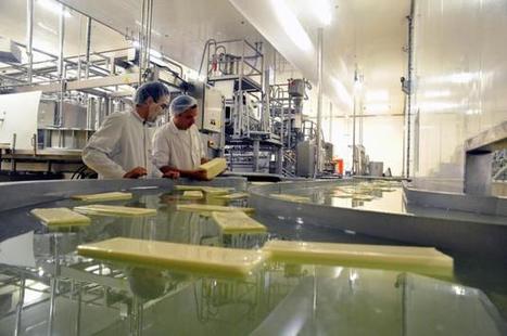 Herbignac : D'ici 2020, la laiterie Eurial va doubler sa capacité de production | Lait de Normandie... et d'ailleurs | Scoop.it