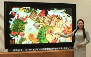 Ecran LCD : Sharp multiplie la r&eacute;solution d'image par 16 | simulateurs | Scoop.it