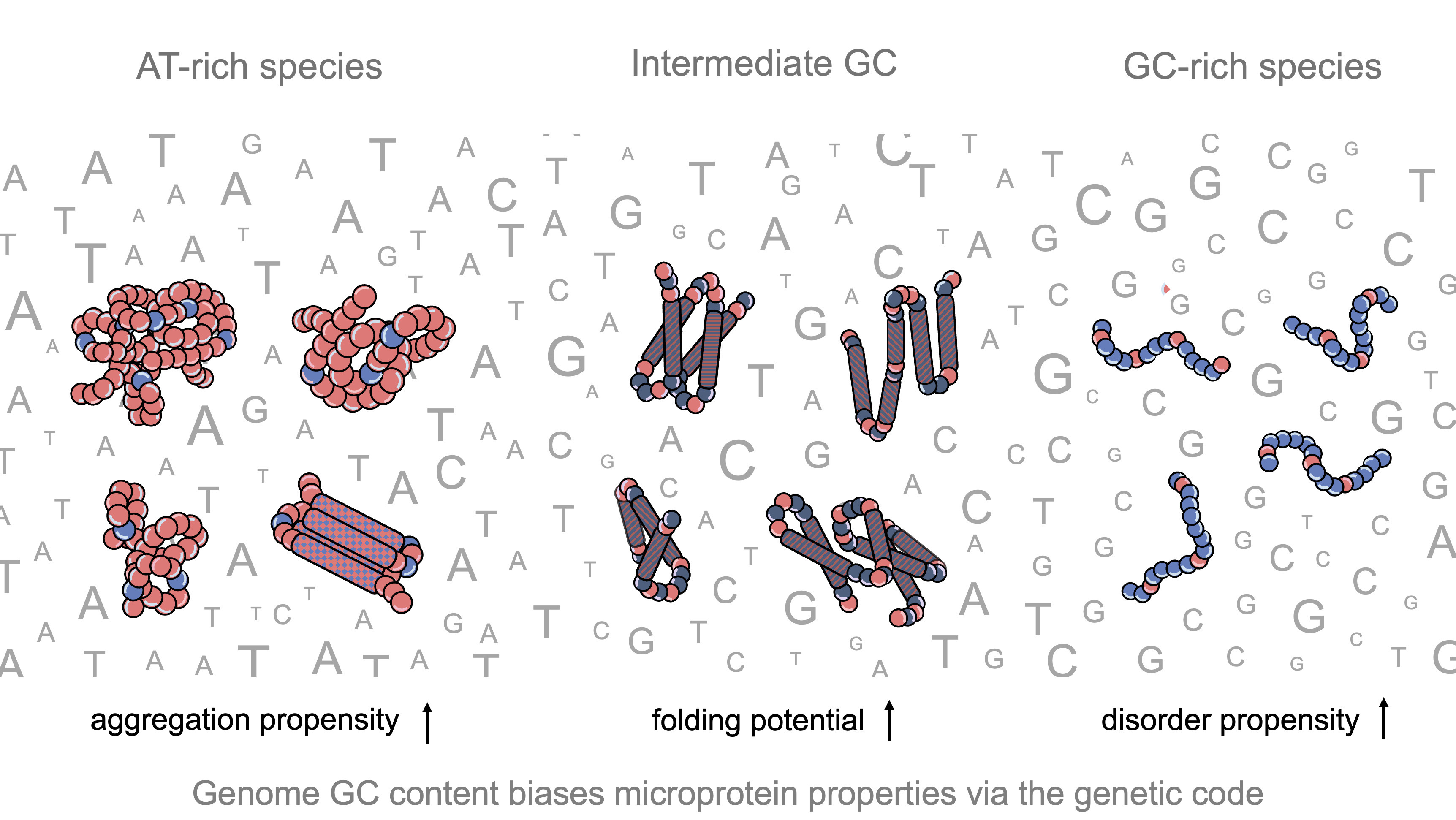 Impact of GC content on de novo gene birth | I2...