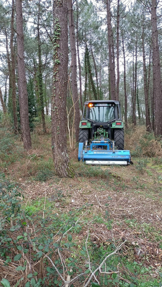 Labenne&nbsp;: en d&eacute;broussaillant, la commune renforce sa pr&eacute;vention contre les incendies | Landes - Conseils municipaux & communautaires | Scoop.it