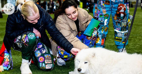 Opiskelija Vili Elo yst&auml;vineen aloitti jo viisi viikkoa kest&auml;v&auml;n vapun | HS.fi | 1Uutiset - Lukemisen t&auml;hden | Scoop.it