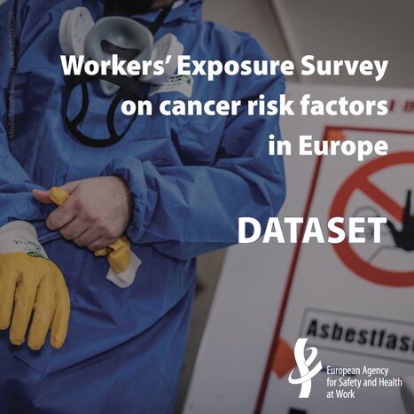 Facteurs de risque de cancer en Europe : les données de l’enquête sur l’exposition des travailleurs désormais disponibles | EU-OSHA | Prévention du risque chimique | Scoop.it
