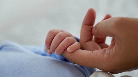 One third of babies born to overseas mothers | Centre for Population Change Connecting Generations in the news | Scoop.it