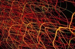 Biomimetic Membrane | ornl.gov | Biomimicry 3.8 | Scoop.it