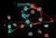 Scientists Find a Key Element of Lupus, Suggesting Better Drug Targets - Science Daily (press release) | AUTOIMMUNITY | Scoop.it