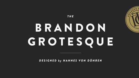 10 professional fonts for designers | website design | Scoop.it
