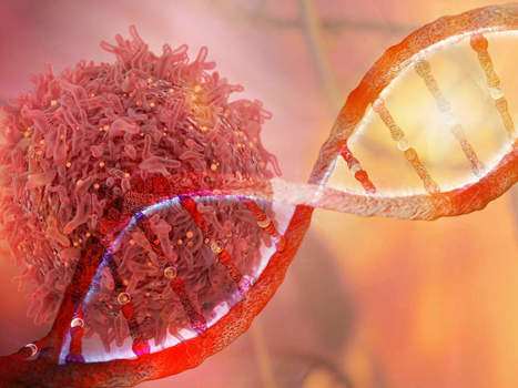 Cancer Cure: An Isreali company claims to have found 100% cure for cancer | Soup for thought | Scoop.it
