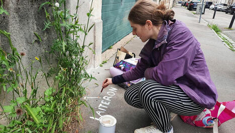 Le nom des plantes sauvages inscrit sur les trottoirs de Nancy pour mieux les connaître et les protéger - France Bleu | Biodiversité | Scoop.it