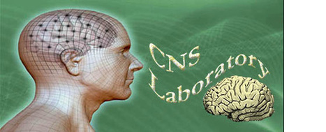 Clinical Neuropsychology and Simulation Lab (Parsons) | Department of Psychology | Simulation in Health Sciences Education | Scoop.it