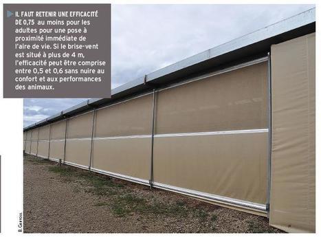 « Choisir le bon brise-vent pour le bon usage » | Actualités de l'élevage | Scoop.it