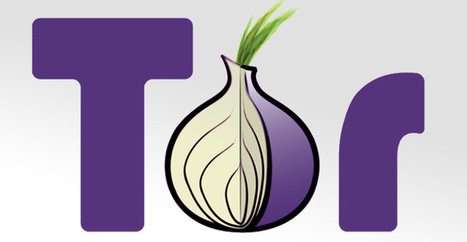 Twitter interdit les utilisateurs de Tor, sauf à renoncer à l'anonymat | Libertés Numériques | Scoop.it