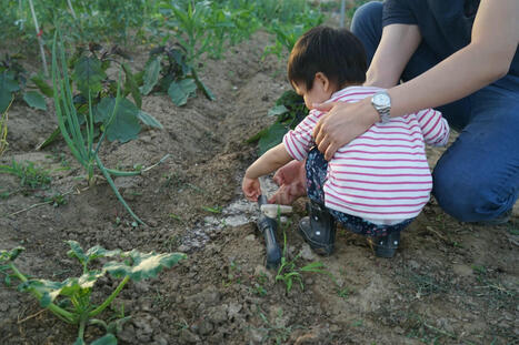 Comment inciter les enfants à jardiner | Les Colocs du jardin | Scoop.it