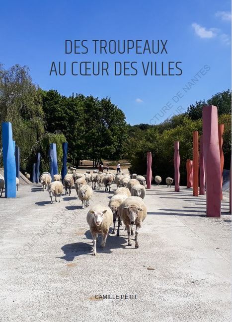 [Mémoire] Des troupeaux au cœur des villes : sur les conséquences de la présence d'animaux d'élevage en milieu urbain - DUMAS - Dépôt Universitaire de Mémoires Après Soutenance | ESPACES VEGETALISES URBAINS | Scoop.it