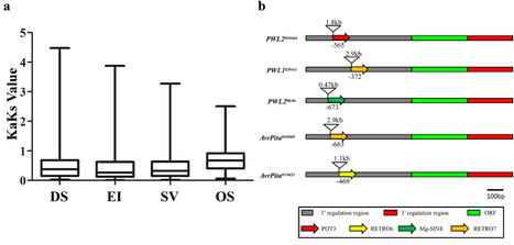 Scientific Reports: Directional Selection from Host Plants Is a Major Force Driving Host Specificity in Magnaporthe Species (2016) | Plant Pathogenomics | Scoop.it