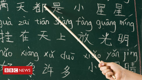 How many words do you need to speak a language? | News for Discussion | Scoop.it