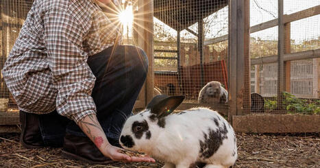 La Villette ouvre une ferme p&eacute;dagogique et un grand espace d&eacute;di&eacute; &agrave; la biodiversit&eacute; | Paysage - Agriculture | Scoop.it