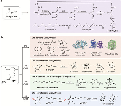 Biosynthesis of advanced biofuels in microbial cell factories | cin | RMH | Scoop.it