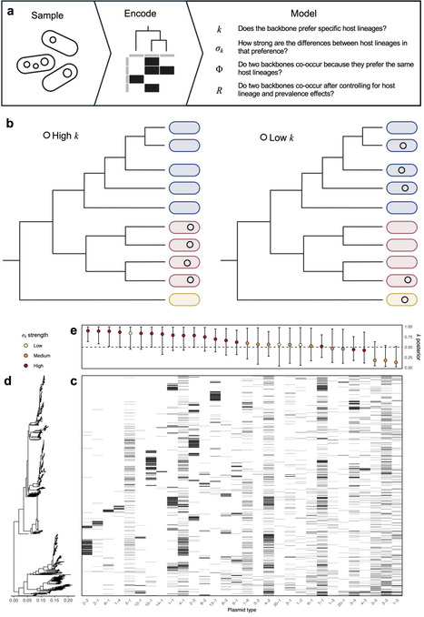 Conjugation structures plasmid populations through host-lineage restriction | brveco | RMH | Scoop.it