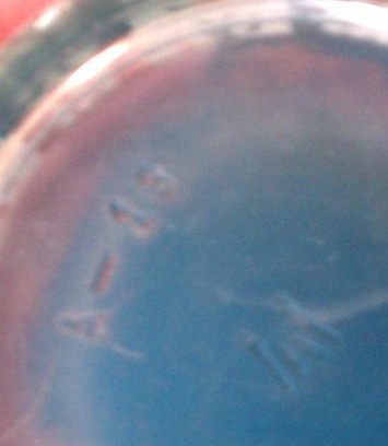 Vintage Fantasy Decorated Glasses | Collectors' Blog | Colorful Prism Of Racism | Scoop.it