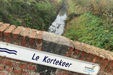 La Province du Hainaut, partenaire du projet de gestion intégrée des eaux de surface du bassin de la Lys - La DH/Les Sports+ | Ecodéveloppement territorial | Scoop.it