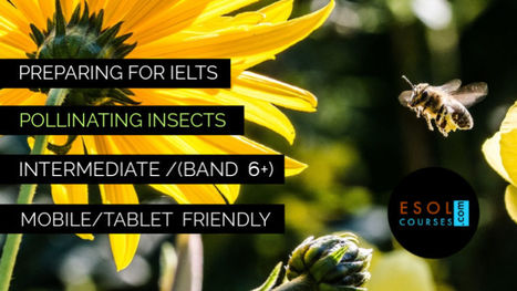 IELTS Academic Style Reading Practice - Pollinating Insects | IELTS 6+ | CEFR B1-B2 | Reading Resources for ELT | Scoop.it