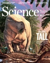 Structural basis of latent TGF-β1 presentation and activation by GARP on human regulatory T cells | Immunology | Scoop.it