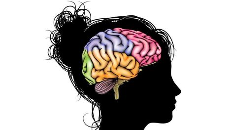 Harnessing the Incredible Learning Potential of the Adolescent Brain | #LEARNing2LEARN #Research | 21st Century Learning and Teaching | Scoop.it