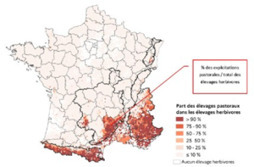 Avenir du PASTORALISME en FRANCE | CIHEAM Press Review | Scoop.it