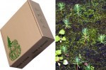 Life Box: Paul Stamets Unveils Brilliant Seed-Sprouting Cardboard Box | Sustainability Science | Scoop.it