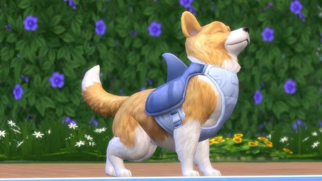 Des personnalités uniques pour vos animaux << Site officiel | Les Sims | Scoop.it