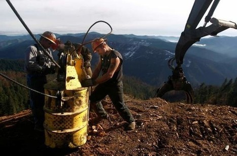 Company Works Swiftly To Salvage Dead Timber While Public Timber Sits | Timberland Investment | Scoop.it
