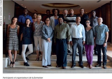 Le Cirad et l'Usda forment 8 experts caribéens à l'analyse cartographique des risques | Revue Politique Guadeloupe | Scoop.it